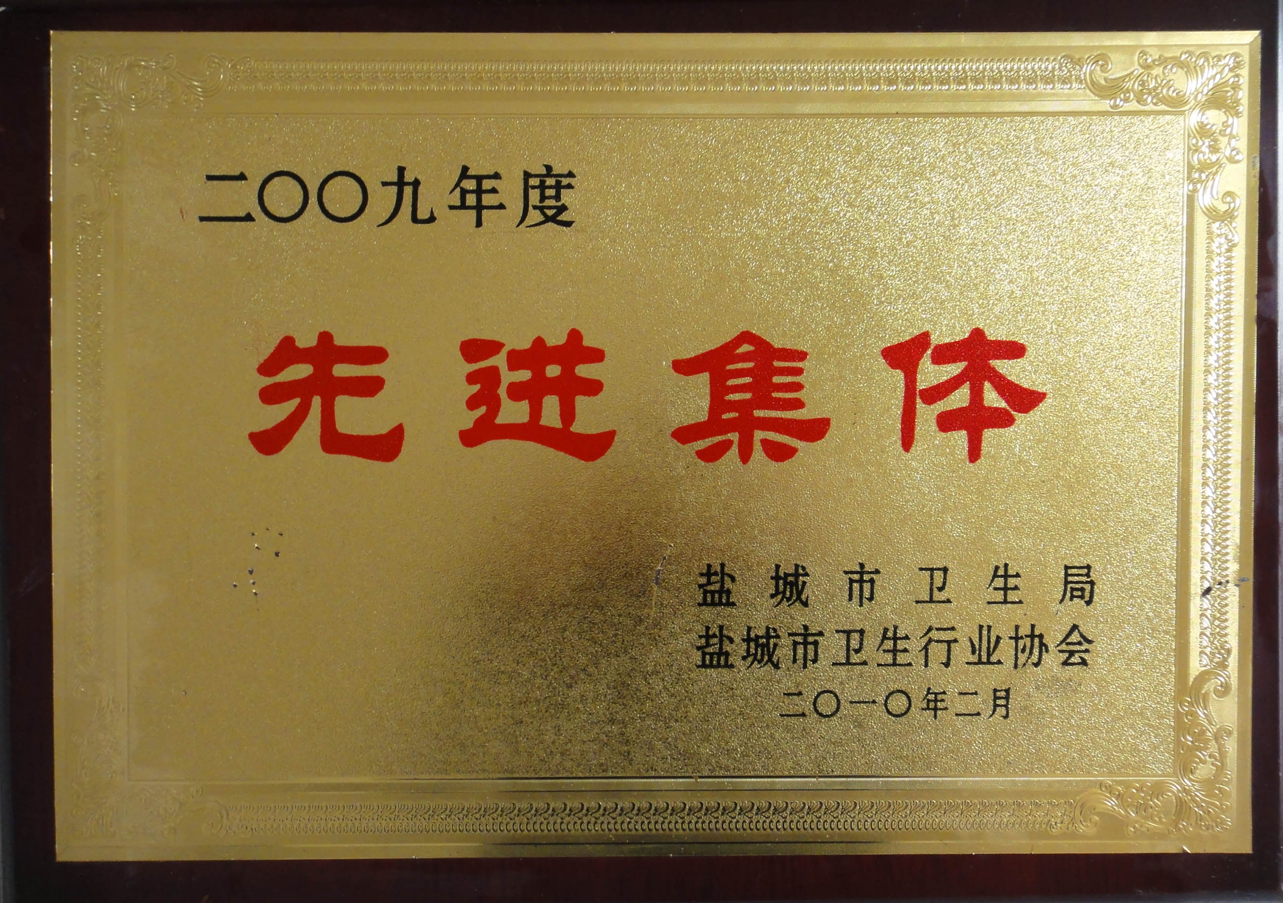 2009年度鹽城市衛(wèi)生行業(yè)先進(jìn)集體